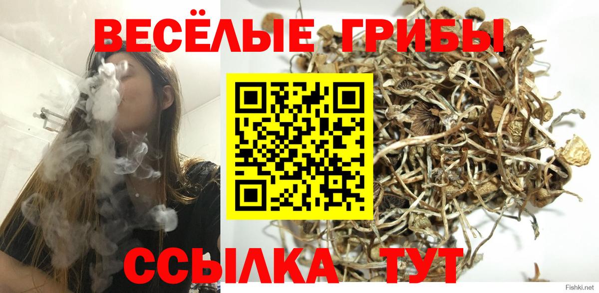 Моршанск  Галлюциногенные грибы Magic Shrooms  Вход с VPN  Галлюциногенные грибы Psilocybe 